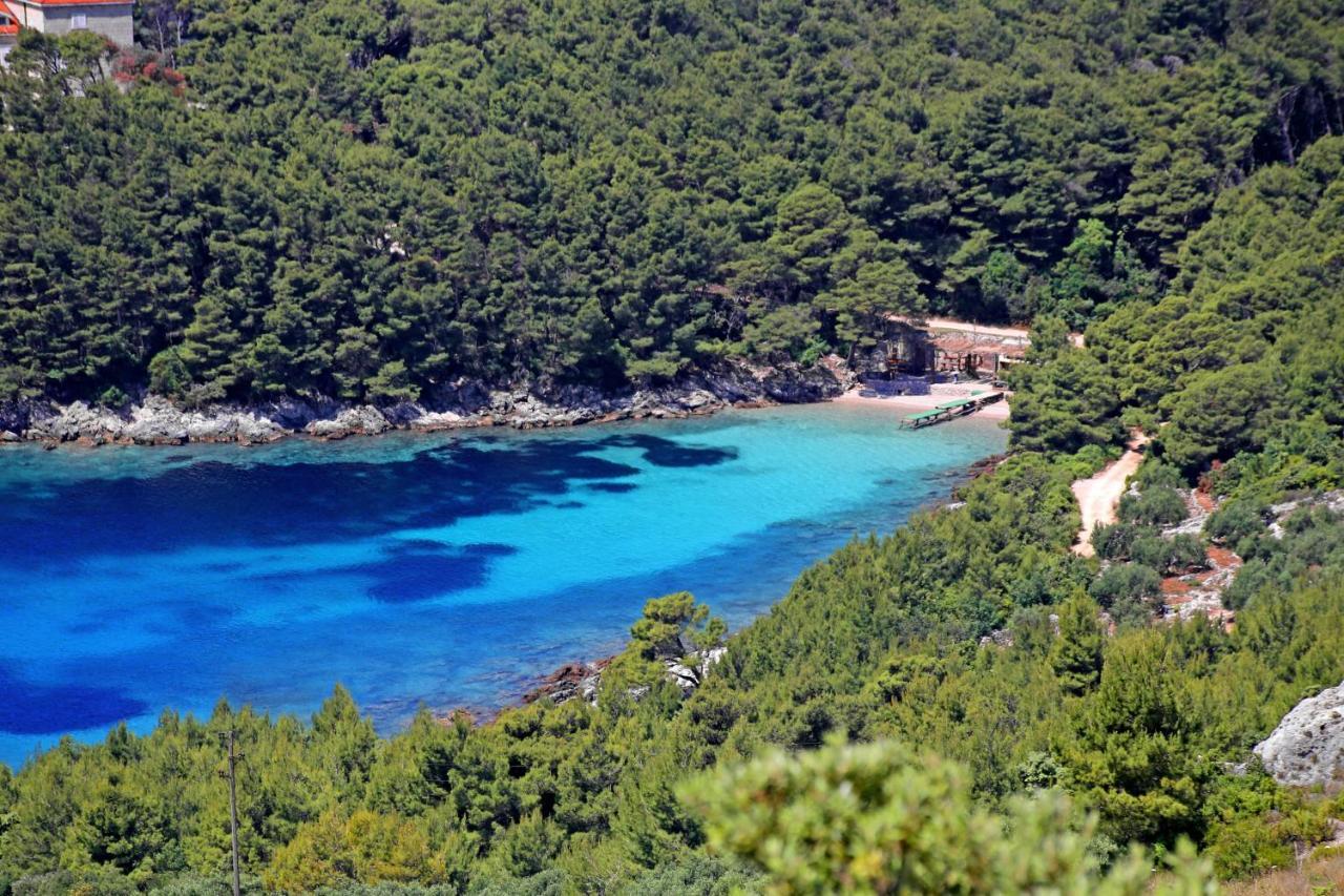 Apartments By The Sea Luka Dubrava, Peljesac - 14187 Putniković 외부 사진